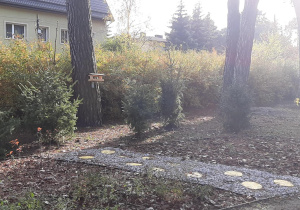 Ścieżka dydaktyczna.