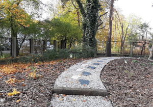 Ścieżka sensoryczna - stopy.