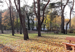 Nasz ogród przedszkolny jesienią.
