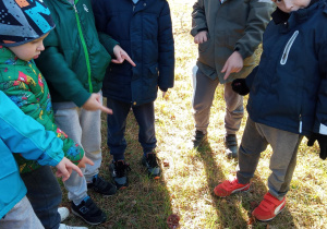 Chłopcy znaleźli grzyba w ogrodzie przedszkolnym.
