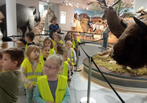 Dzieci oglądają zwierzęta w Muzeum Przyrodniczym.