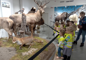 Dzieci oglądają zwierzęta w Muzeum Przyrodniczym.