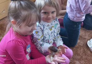 Dziewczynka uczy się opiekować ślimakiem.