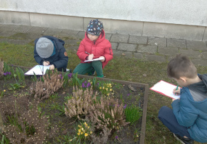 Badawcze zadania w ogrodzie.