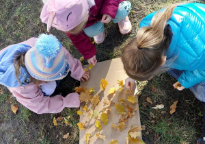 Dzieci podczas zabaw badawczych w ogrodzie.