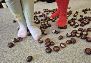 Zabawy sensoryczne z kasztanami - spacer po kasztanach.