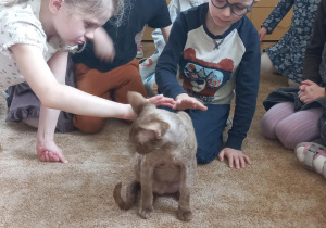 Dzieci głaskają kota z Fundacji Kocia Mama.