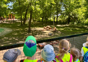 Dzieci podziwiają kapibary w Zoo Borysew.